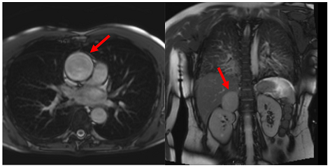 Jcm 12 03122 i001 Jcm 12 03122 i001