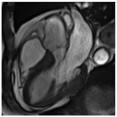 Jcm 12 03122 i002 Jcm 12 03122 i002