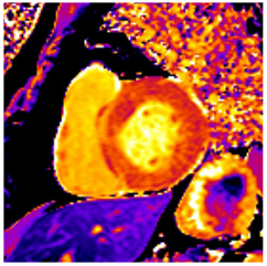 Jcm 12 03122 i003 Jcm 12 03122 i003