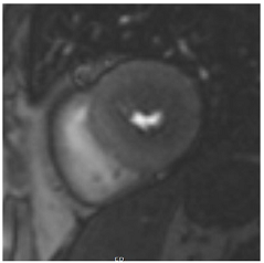 Jcm 12 03122 i004 Jcm 12 03122 i004