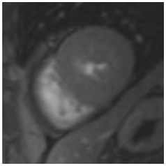 Jcm 12 03122 i006 Jcm 12 03122 i006