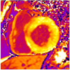 Jcm 12 03122 i008 Jcm 12 03122 i008