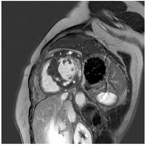 Jcm 12 03122 i010 Jcm 12 03122 i010