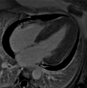 Jcm 12 03122 i012 Jcm 12 03122 i012