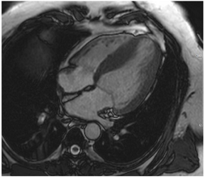 Jcm 12 03122 i013 Jcm 12 03122 i013