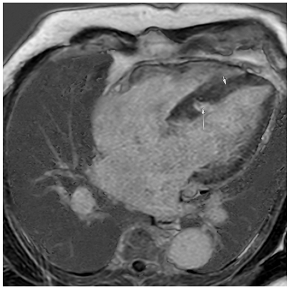 Jcm 12 03122 i017 Jcm 12 03122 i017