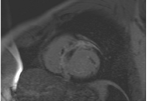 Jcm 12 03122 i018 Jcm 12 03122 i018