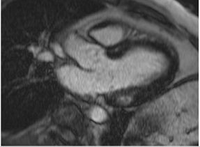 Jcm 12 03122 i019 Jcm 12 03122 i019