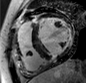 Jcm 12 03122 i020 Jcm 12 03122 i020