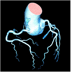 Jcm 12 03122 i021 Jcm 12 03122 i021