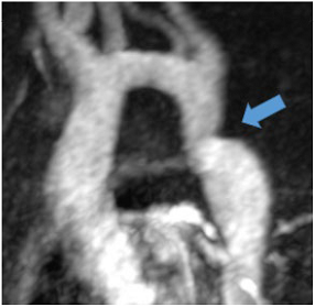 Jcm 12 03122 i022 Jcm 12 03122 i022