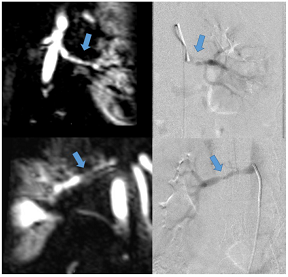 Jcm 12 03122 i023 Jcm 12 03122 i023