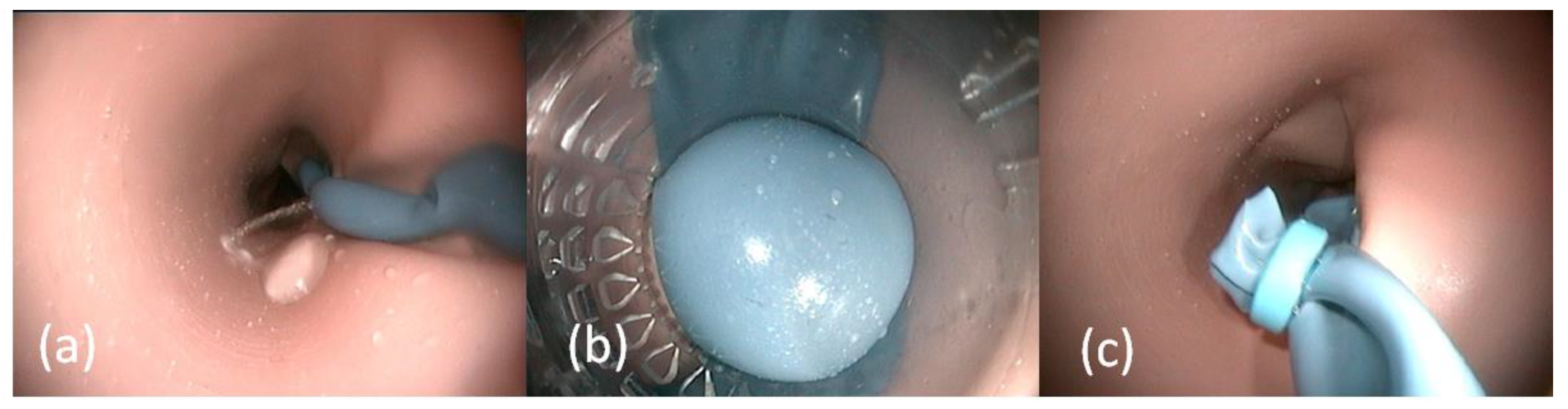 Jcm 12 03230 g004 Jcm 12 03230 g004