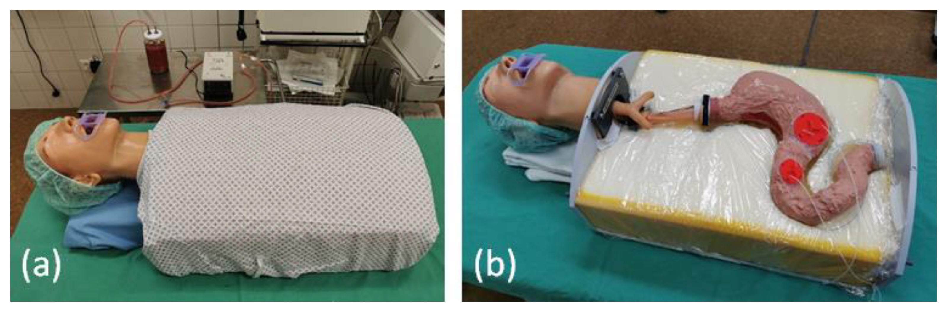 Jcm 12 03230 g007 Jcm 12 03230 g007