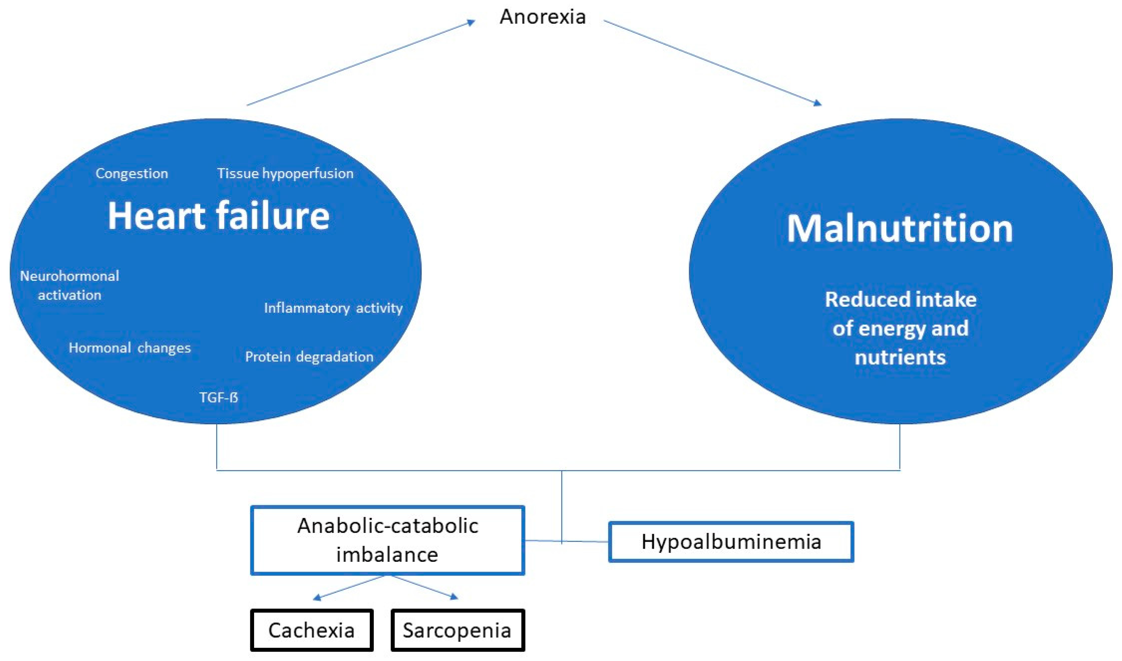 Jcm 12 03320 g001 Jcm 12 03320 g001