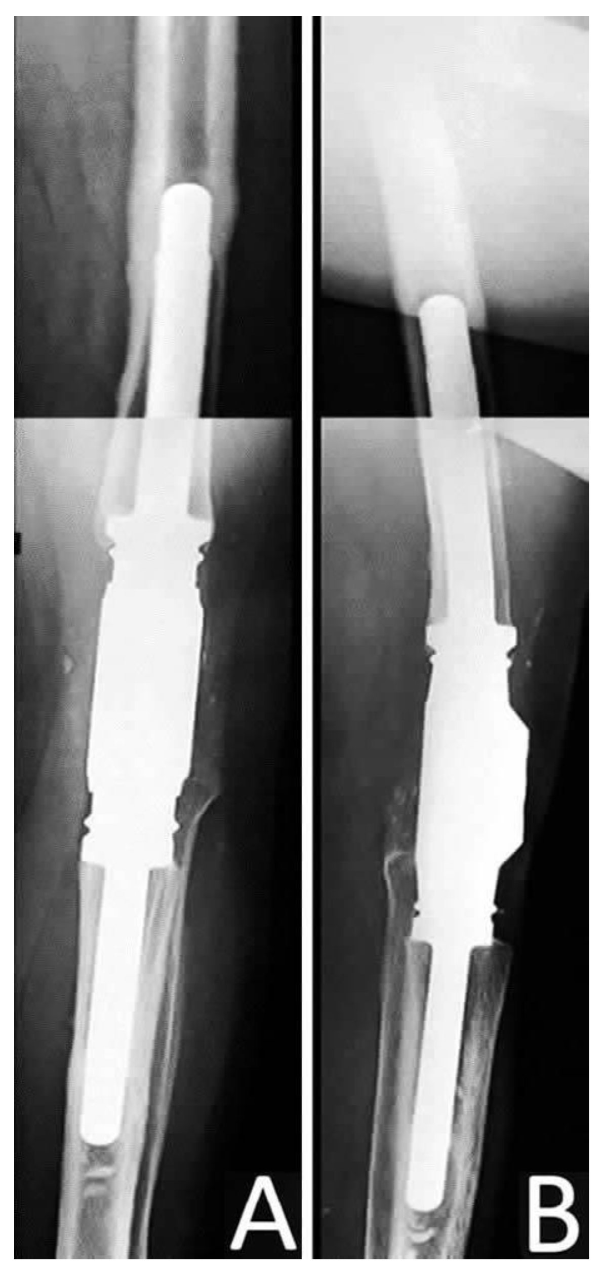 Jcm 12 03600 g006 Jcm 12 03600 g006