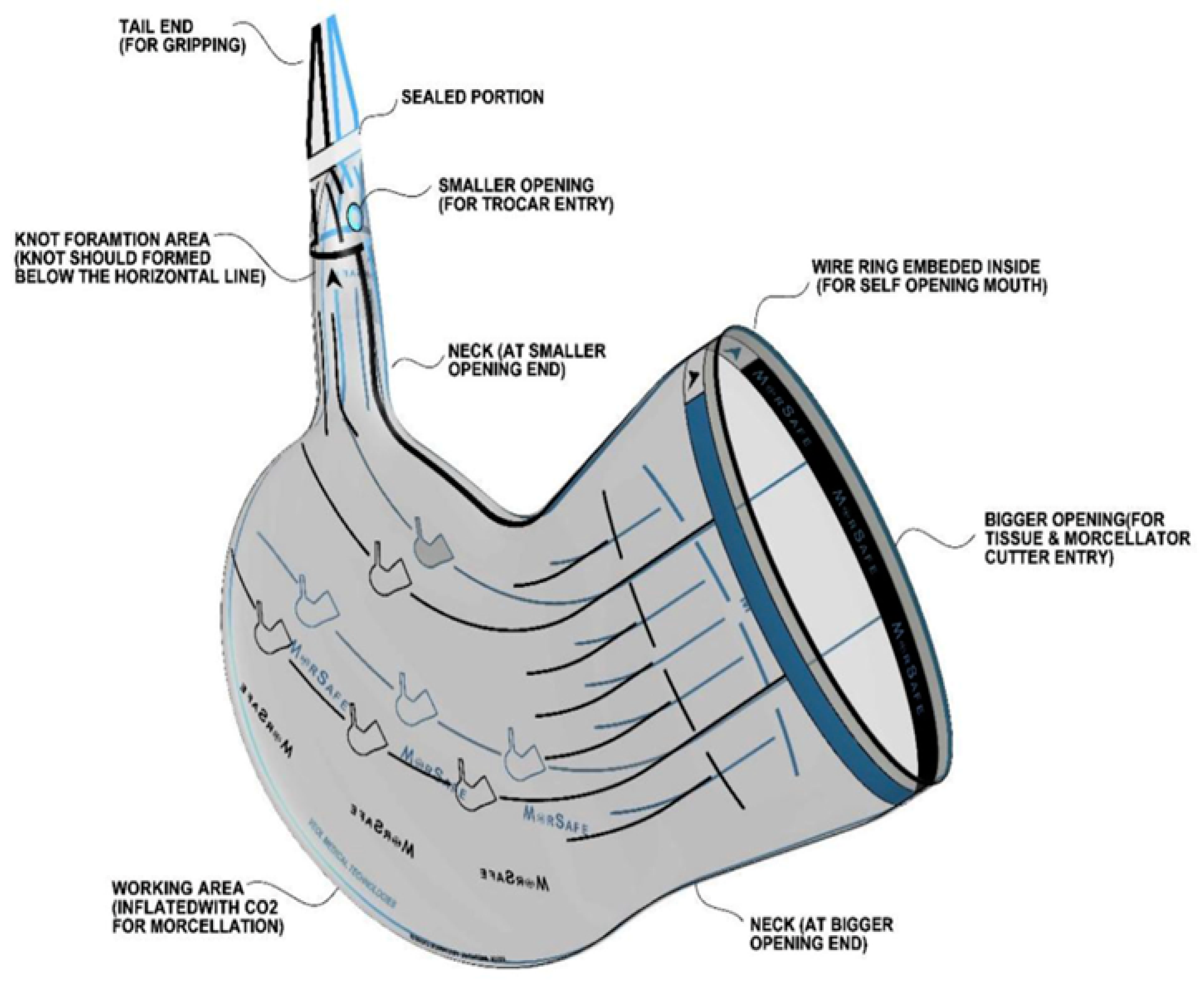 Jcm 12 03628 i001 Jcm 12 03628 i001
