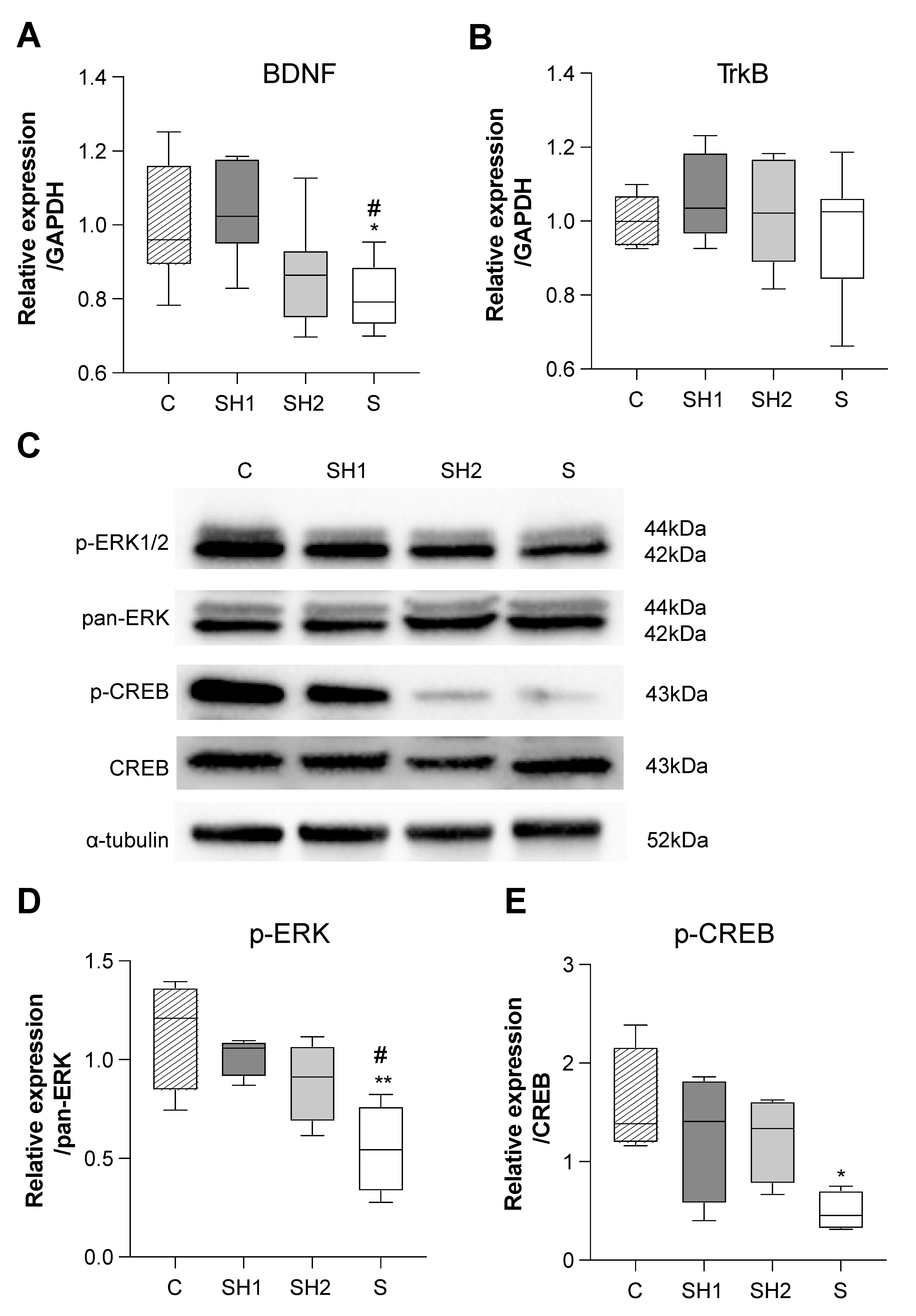 Jcm 12 03642 g006 Jcm 12 03642 g006