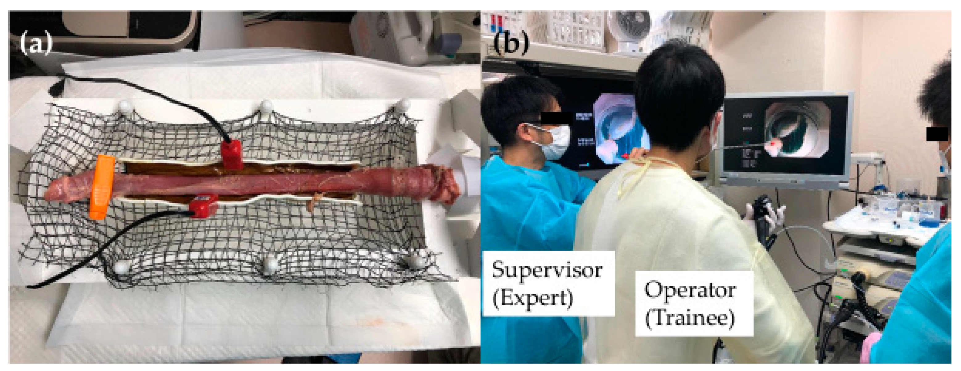 Jcm 12 03692 g006 Jcm 12 03692 g006
