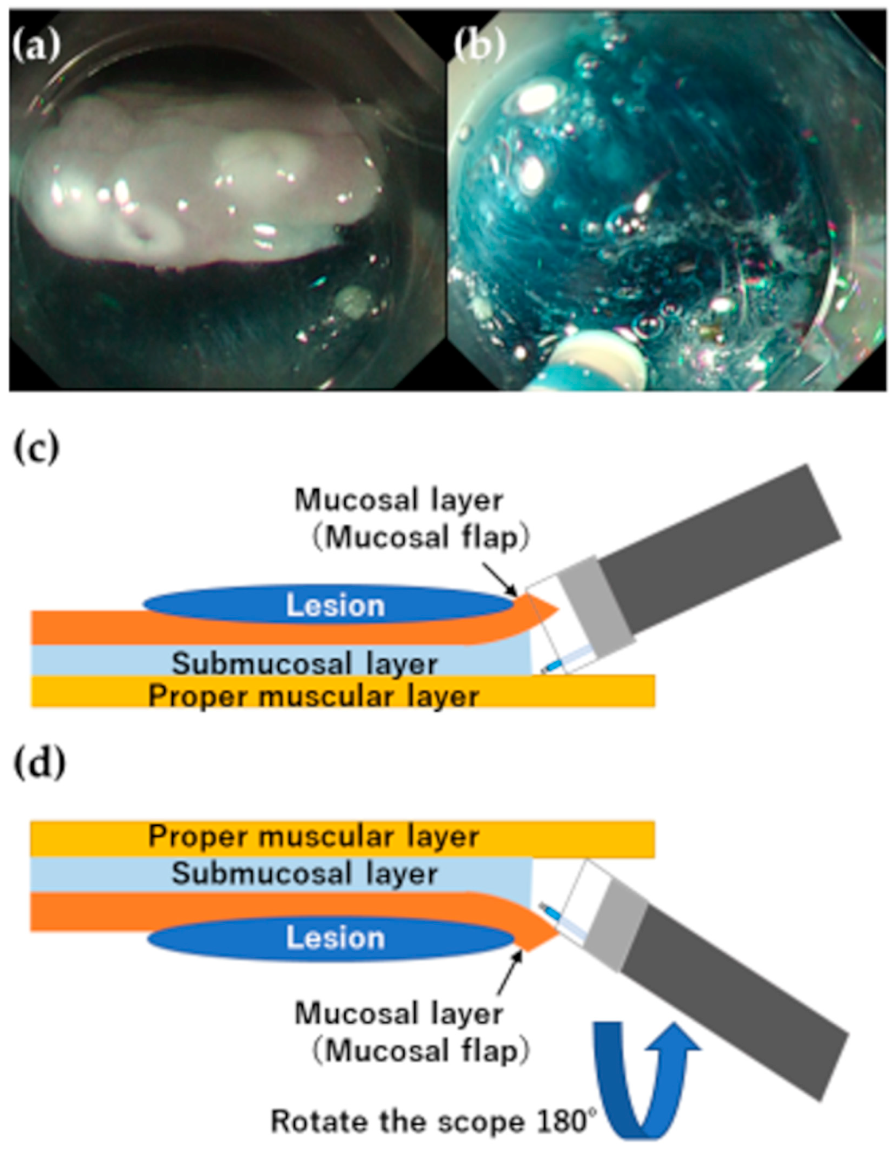 Jcm 12 03692 g007 Jcm 12 03692 g007