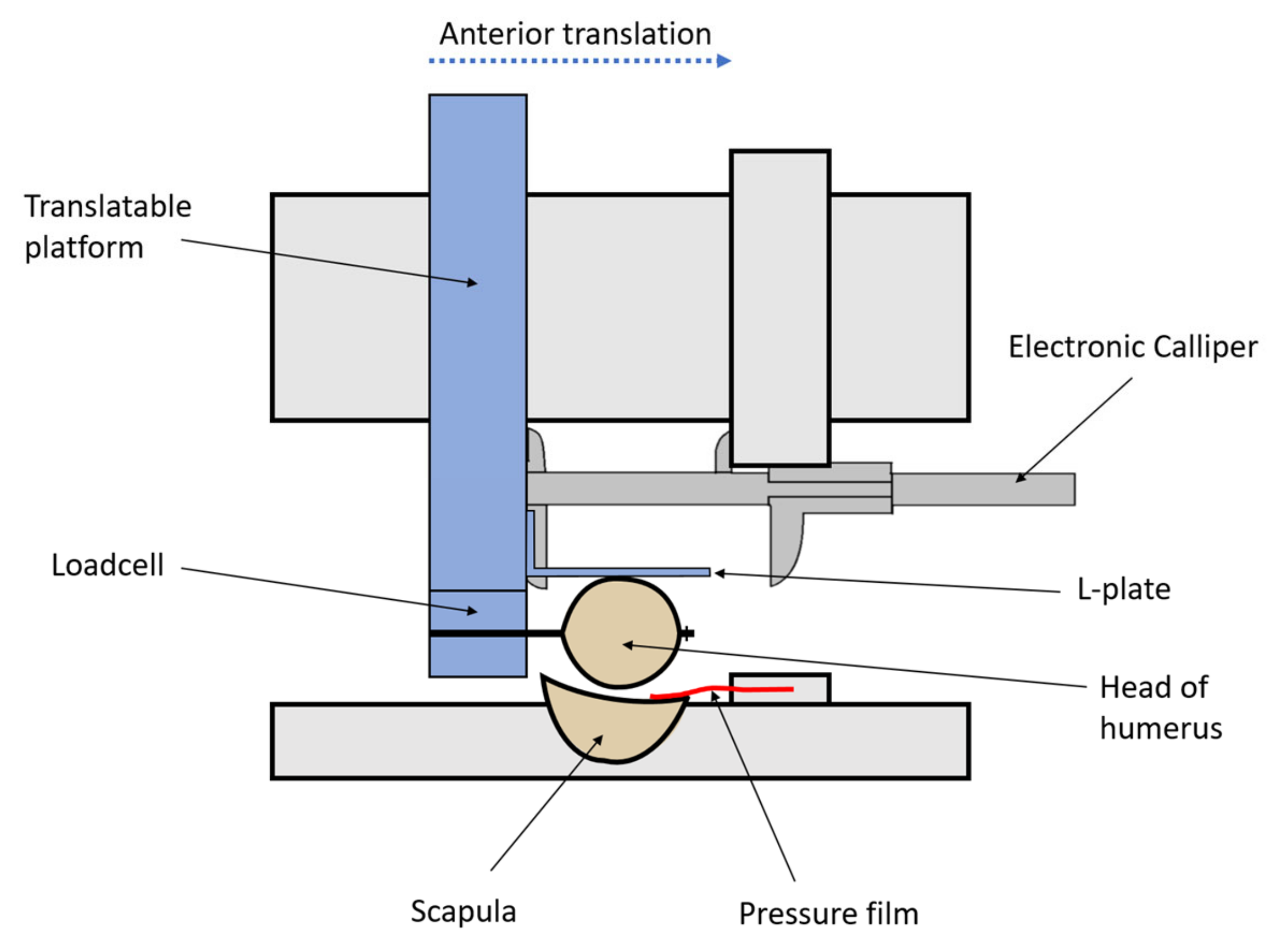 Jcm 12 04035 g004 Jcm 12 04035 g004