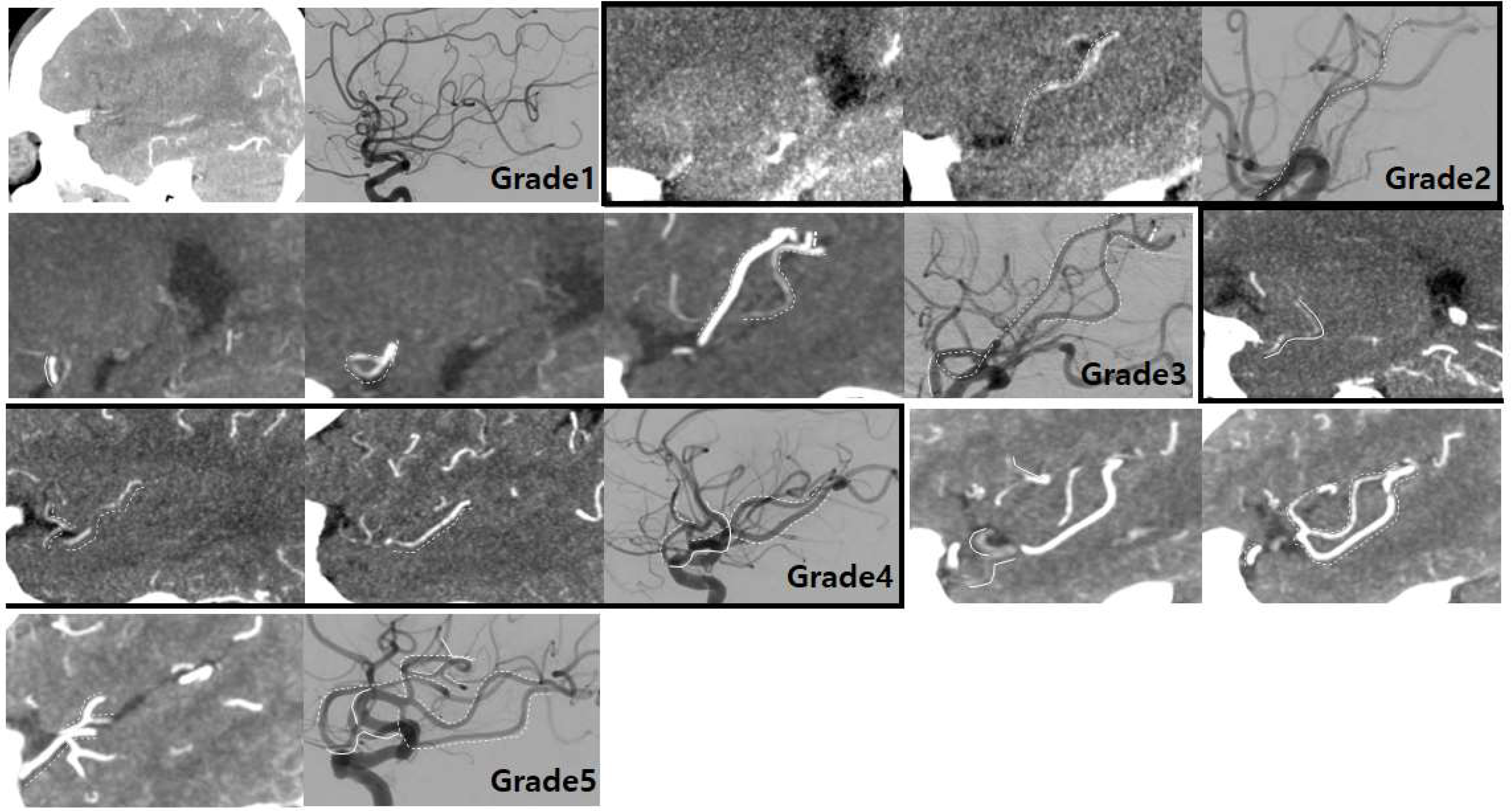 Jcm 12 04051 g003 Jcm 12 04051 g003