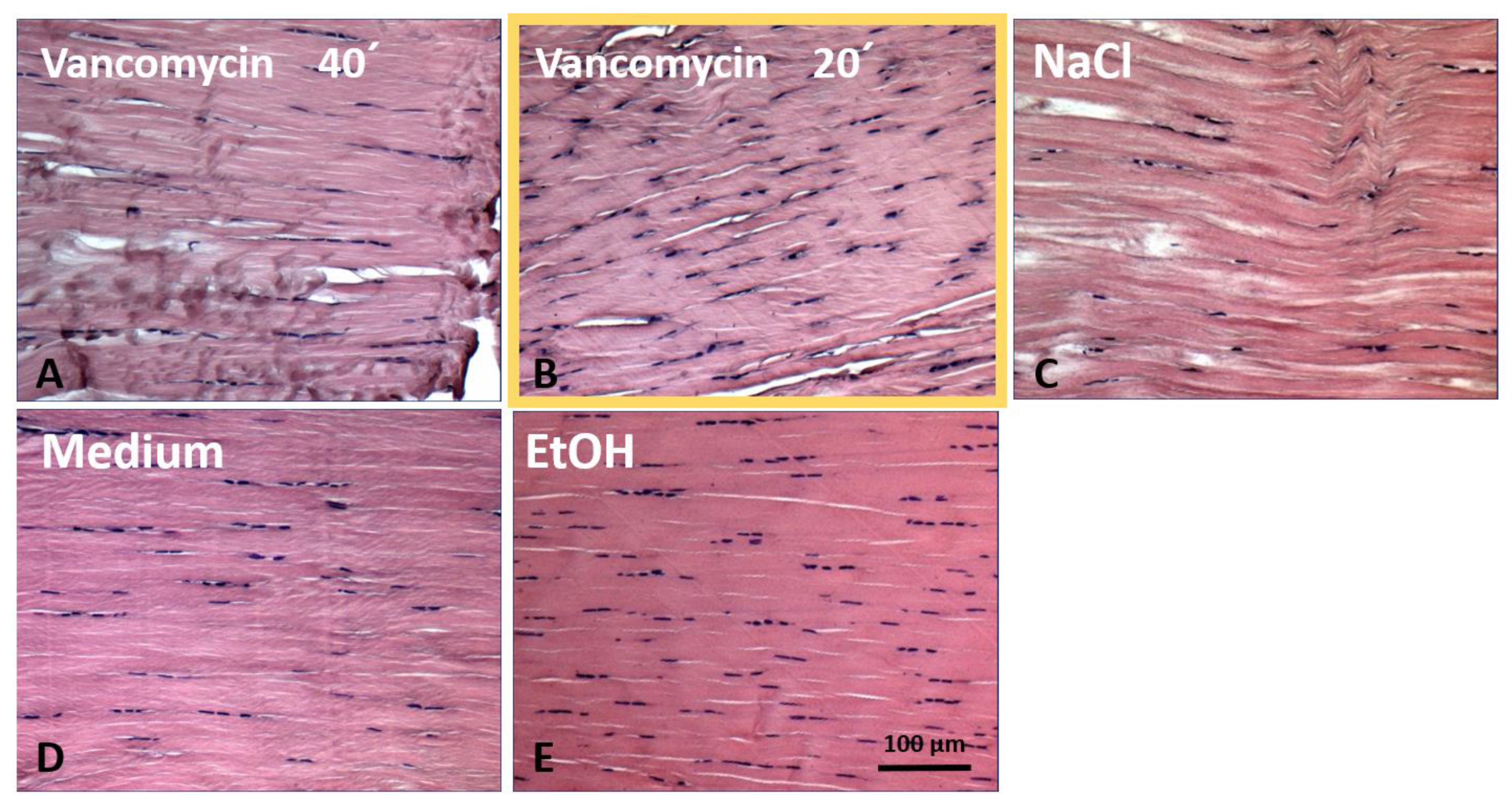 Jcm 12 04104 g001 Jcm 12 04104 g001