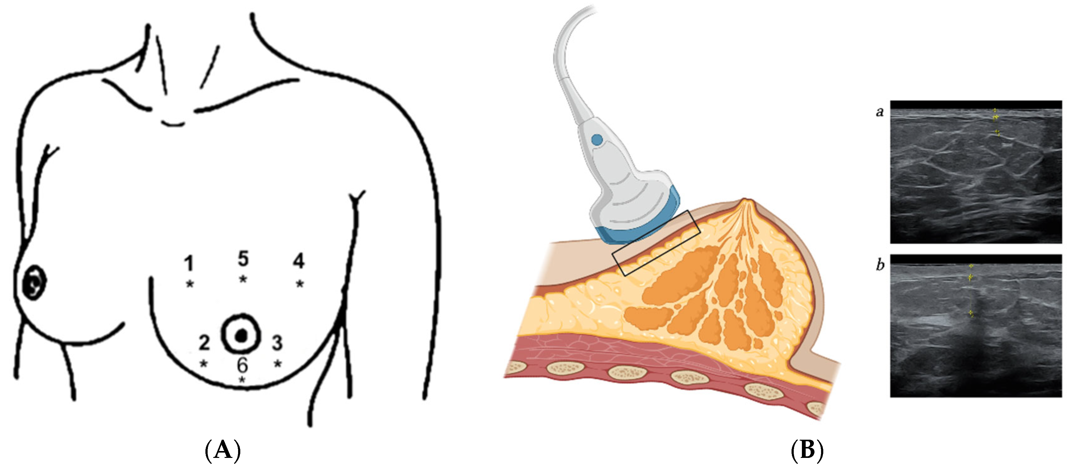 Jcm 12 04212 g001 Jcm 12 04212 g001