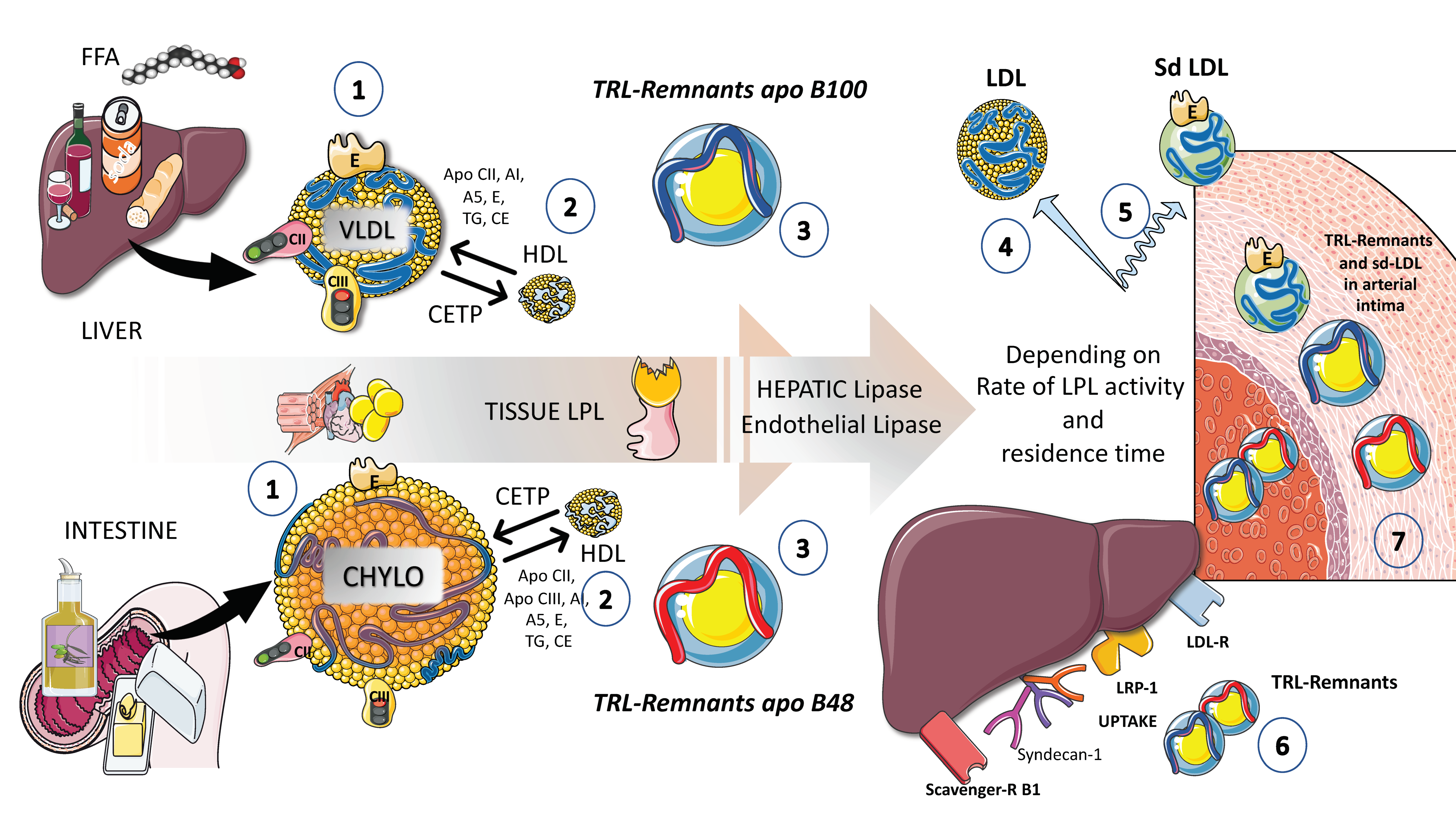 Jcm 12 04399 g004 Jcm 12 04399 g004