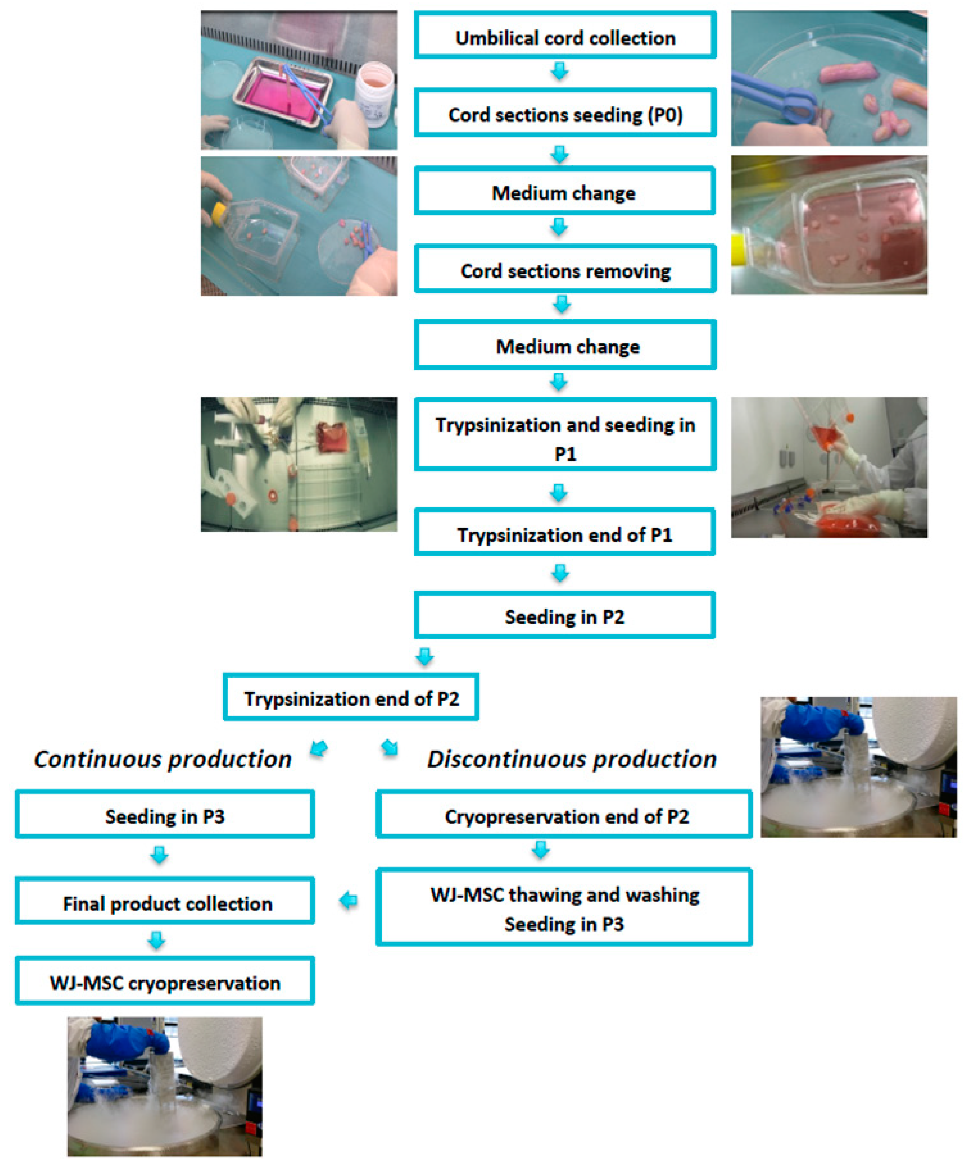 Jcm 12 04414 g001 Jcm 12 04414 g001