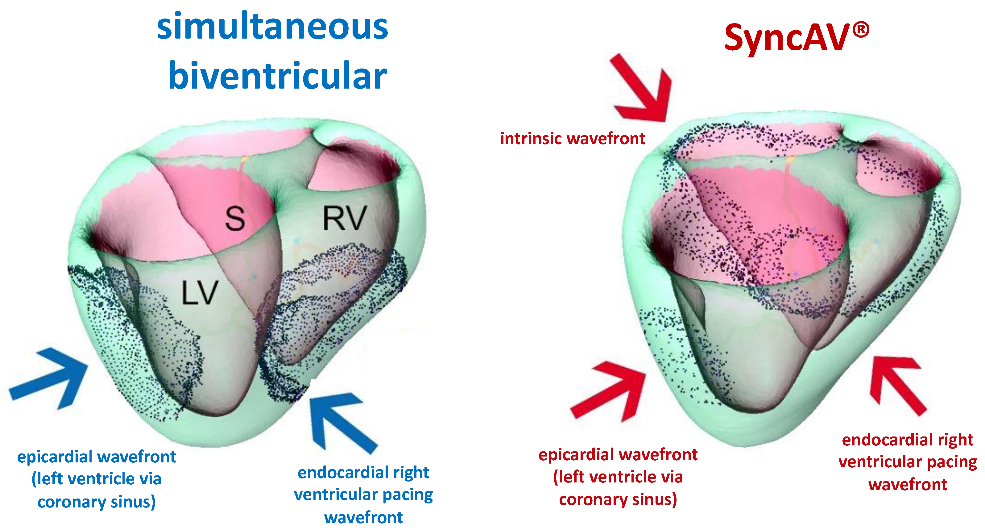 Jcm 12 04510 g002 Jcm 12 04510 g002
