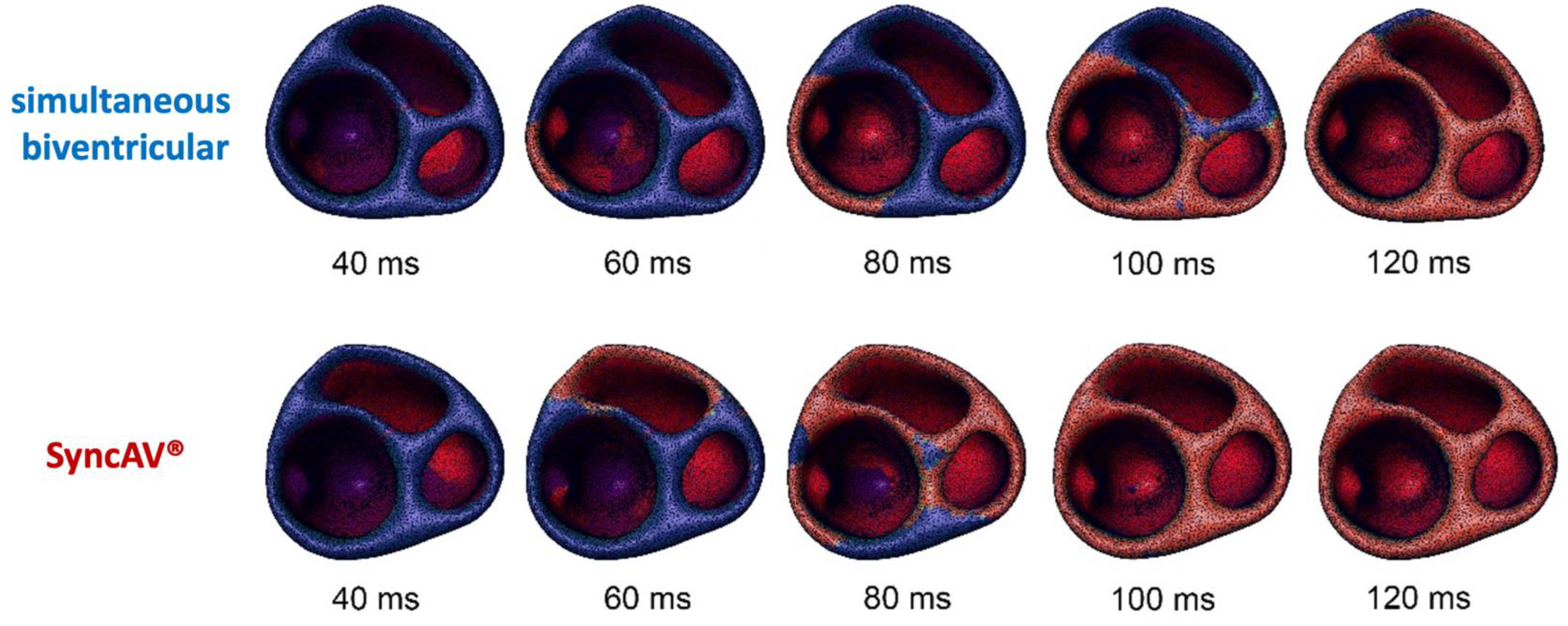 Jcm 12 04510 g006 Jcm 12 04510 g006
