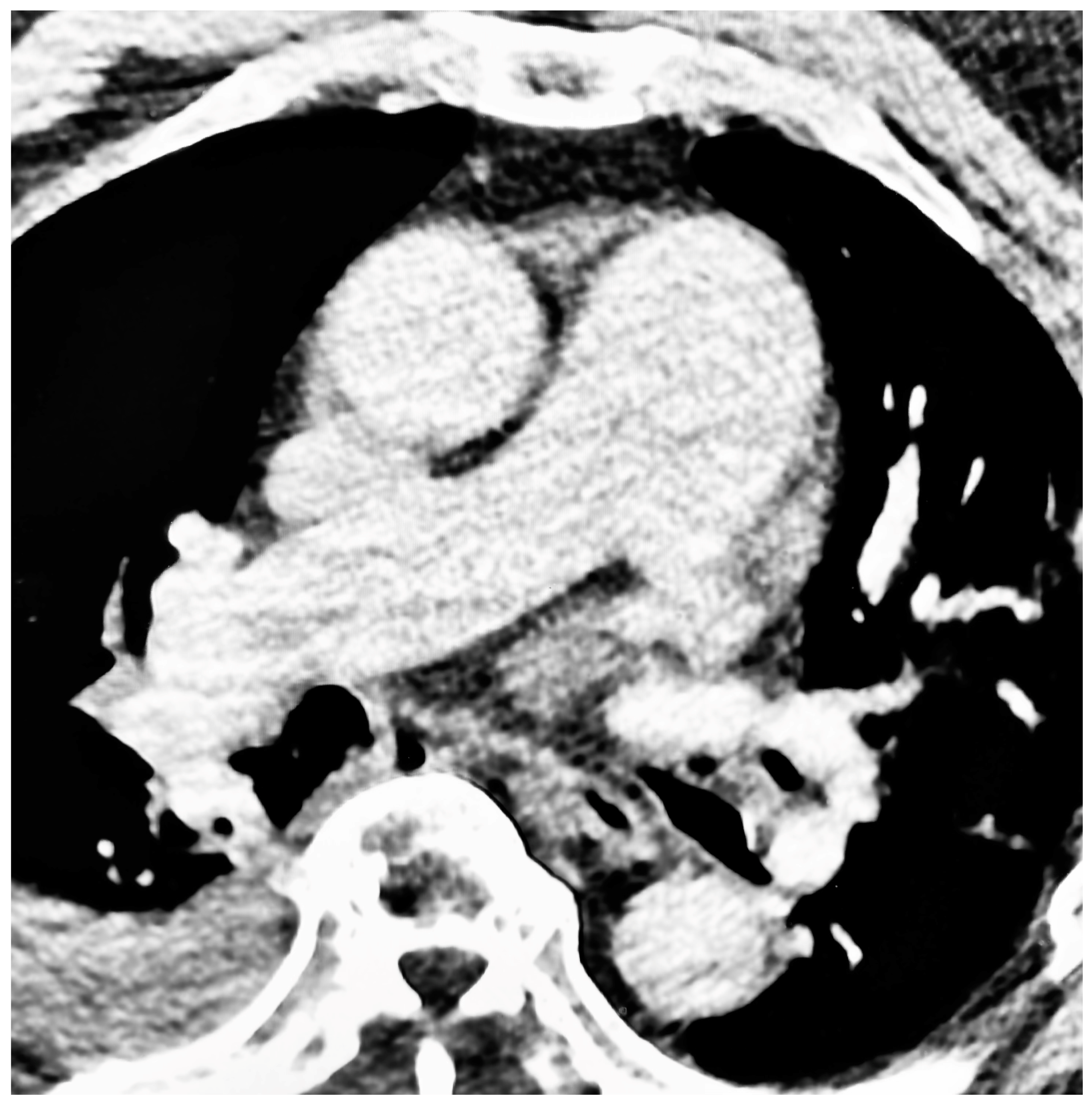 Jcm 12 04634 g001 Jcm 12 04634 g001