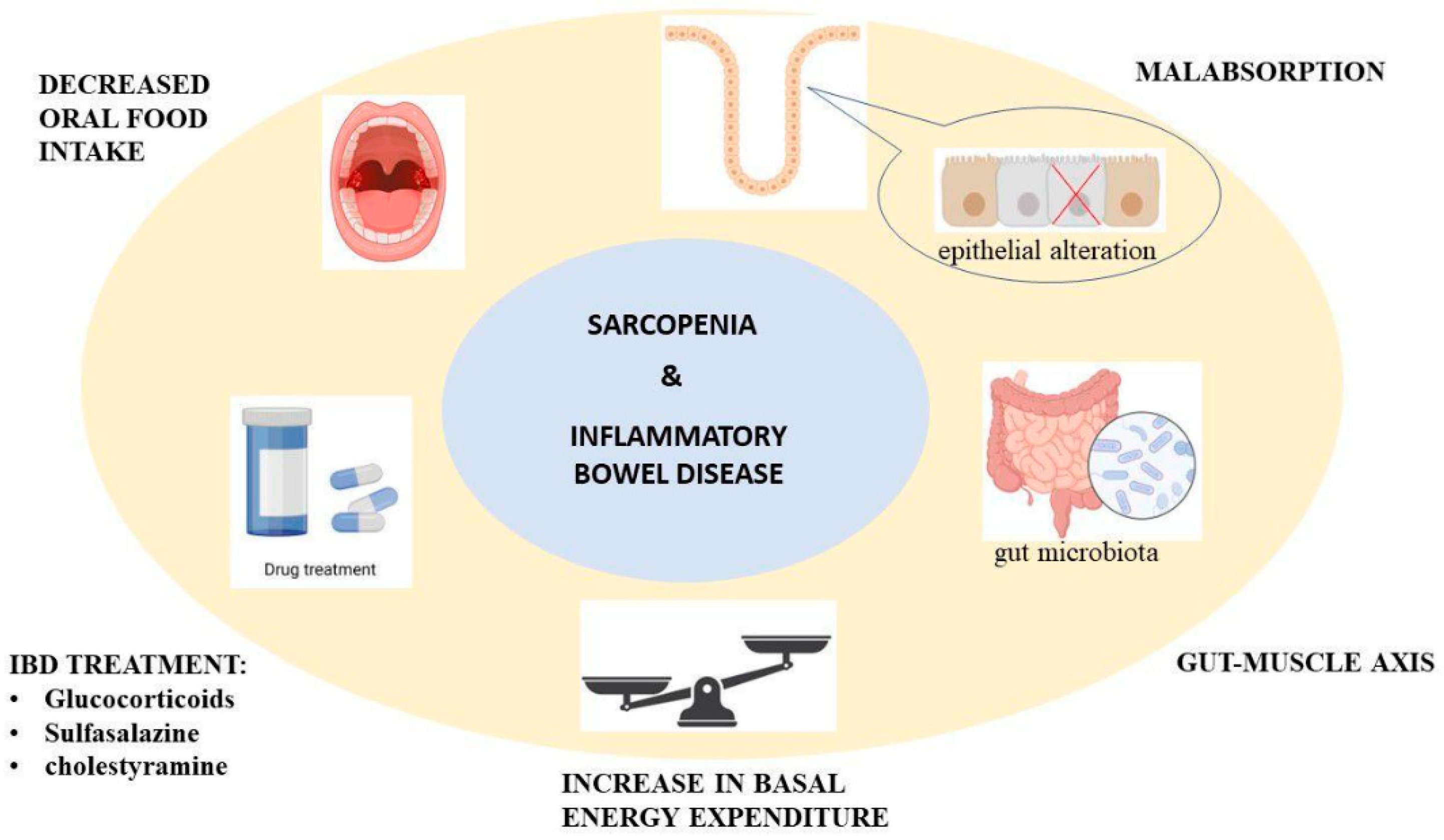 Jcm 12 04713 g001 Jcm 12 04713 g001