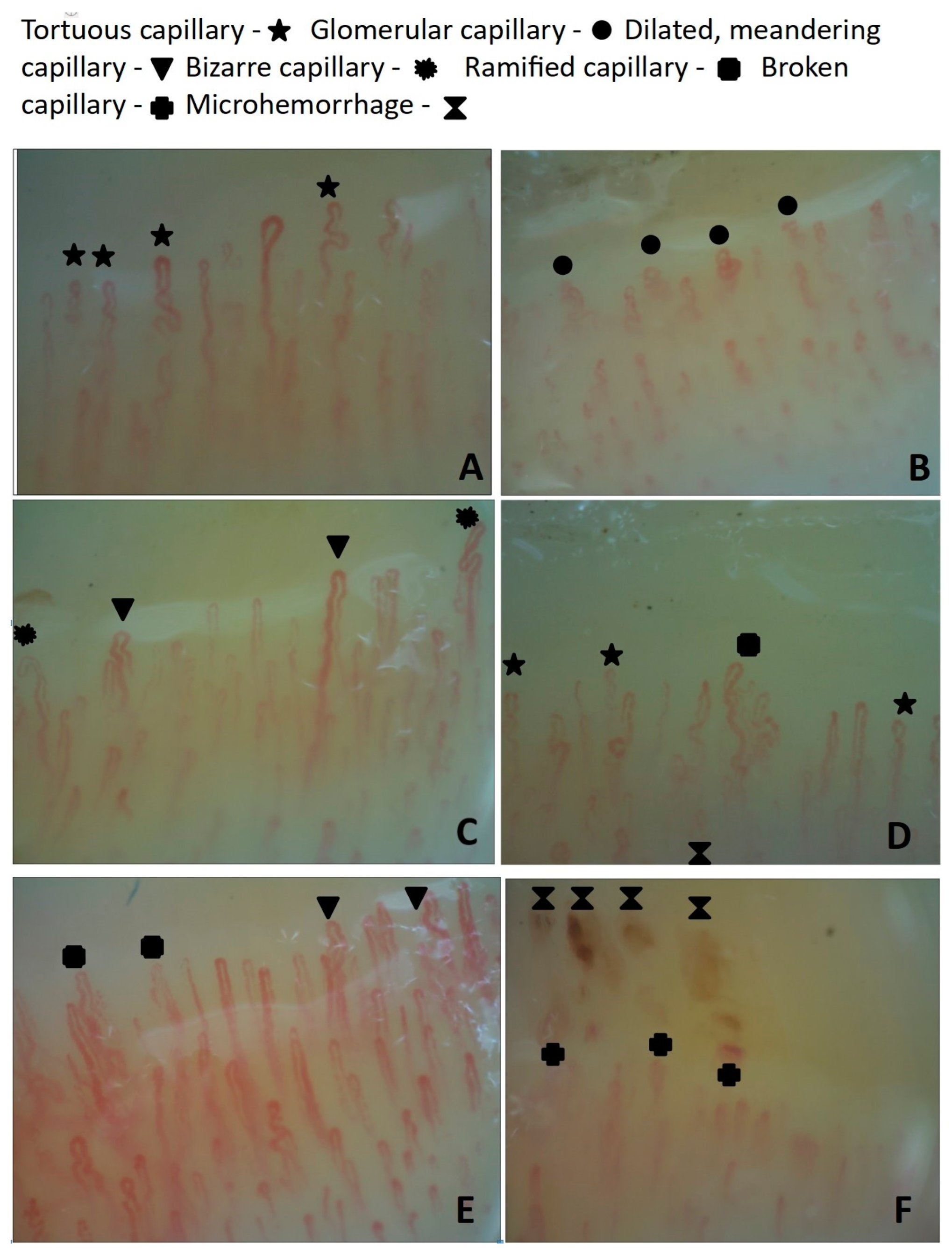 Jcm 12 04817 g003 Jcm 12 04817 g003