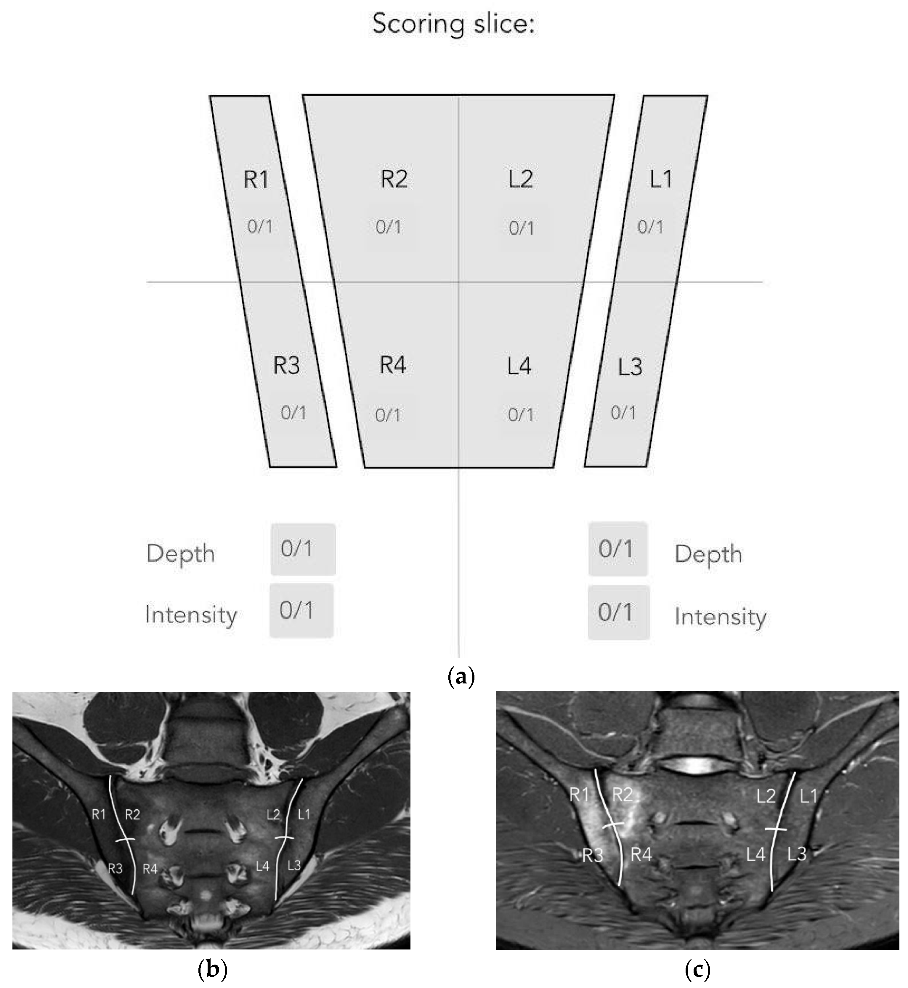 Jcm 12 04852 g003 Jcm 12 04852 g003
