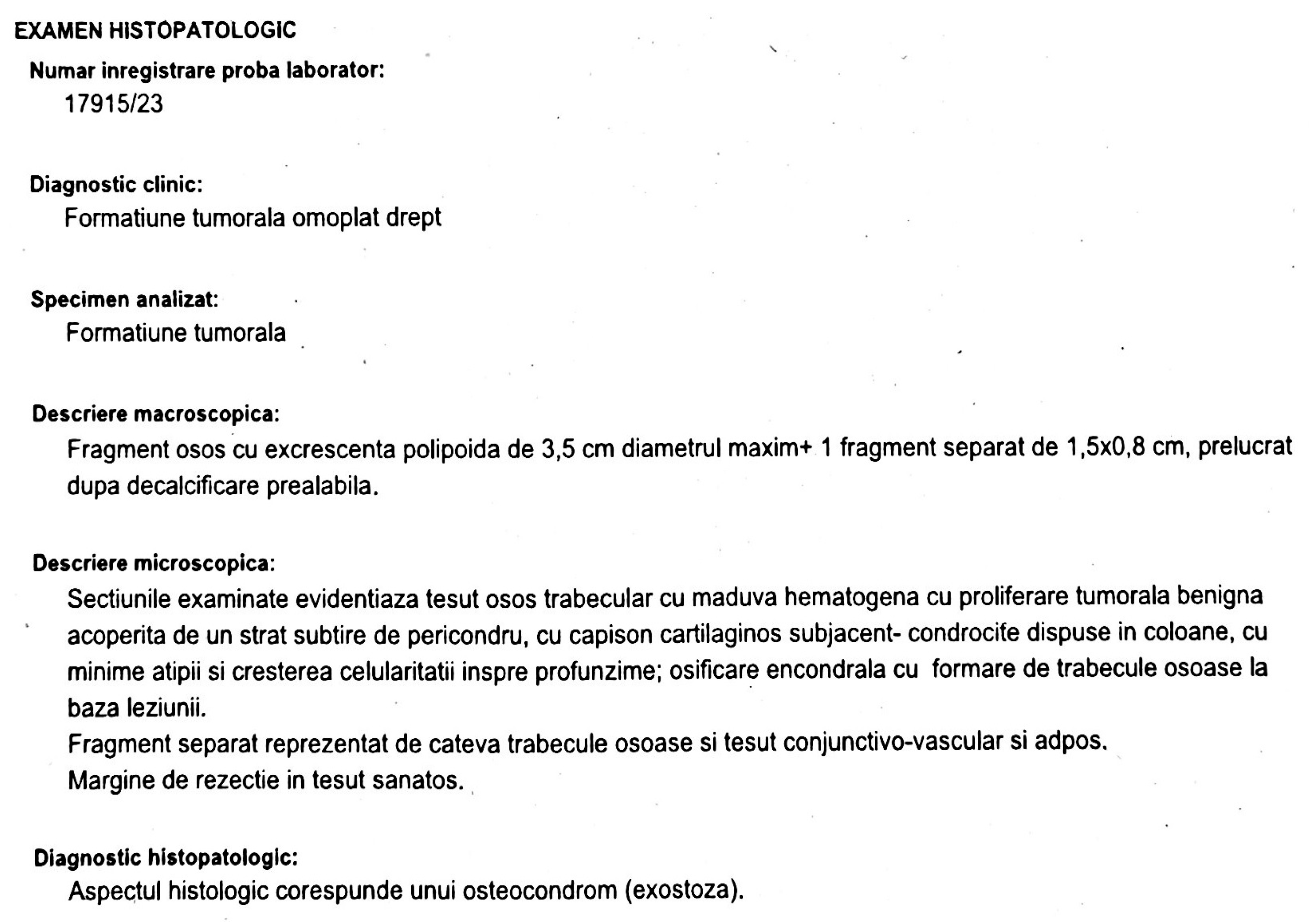 Jcm 12 05106 g006 Jcm 12 05106 g006