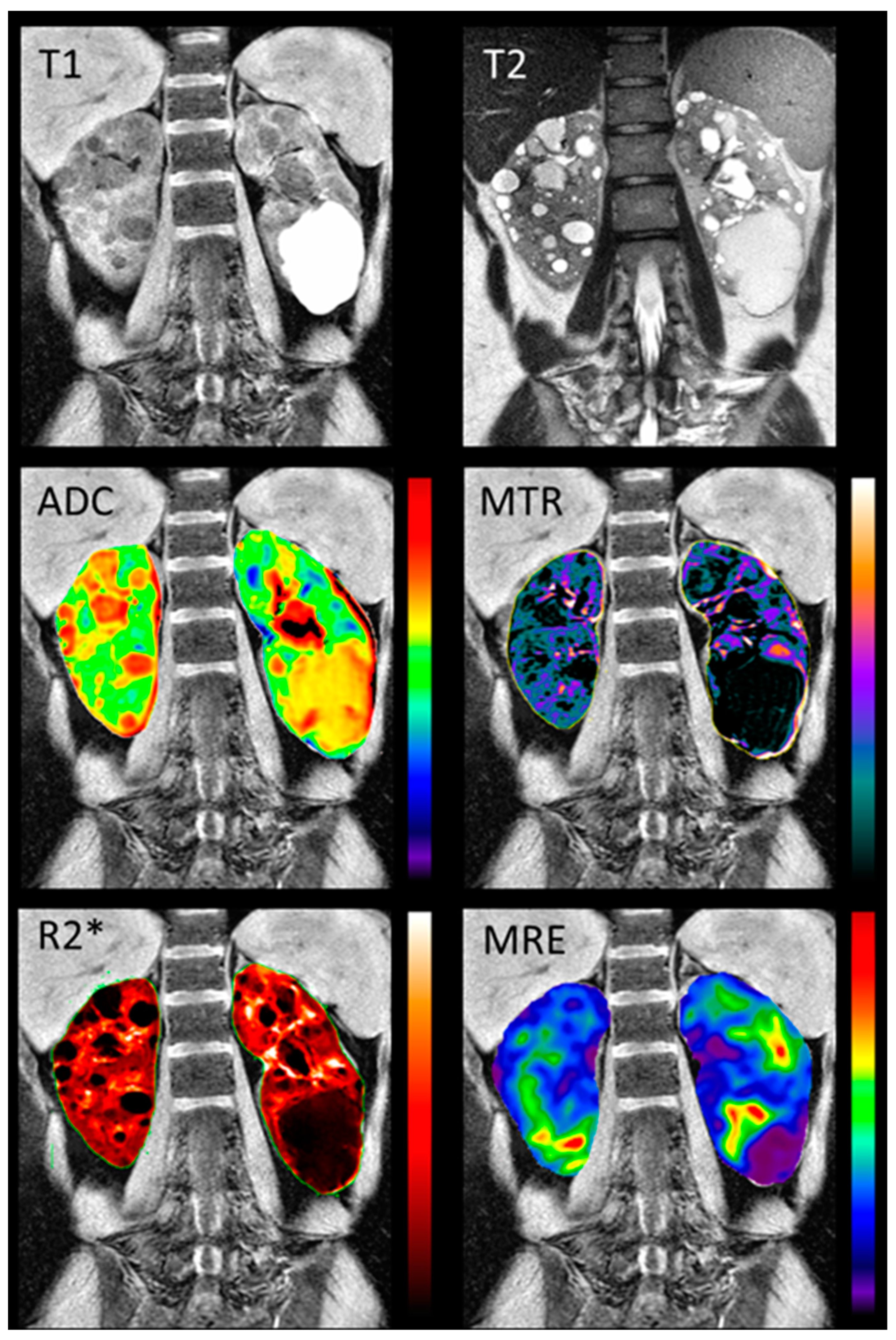 Jcm 12 05133 g005 Jcm 12 05133 g005