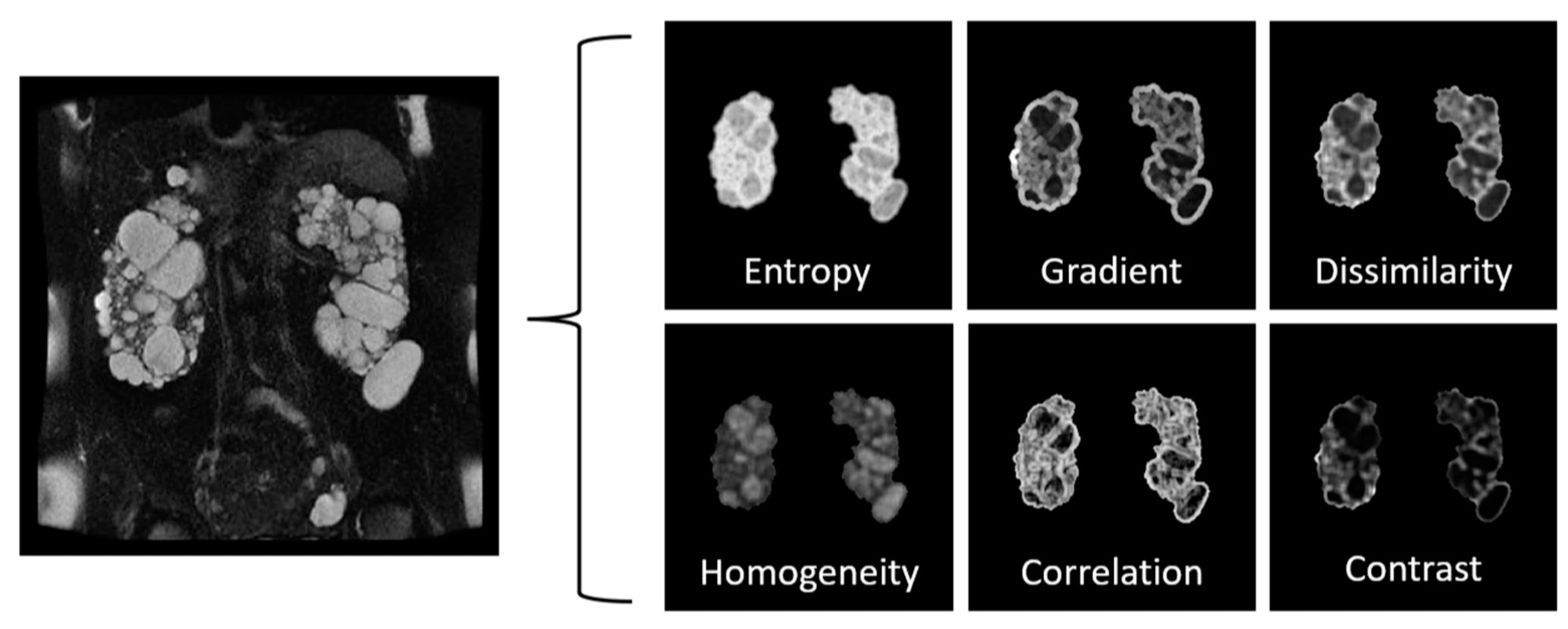 Jcm 12 05133 g006 Jcm 12 05133 g006