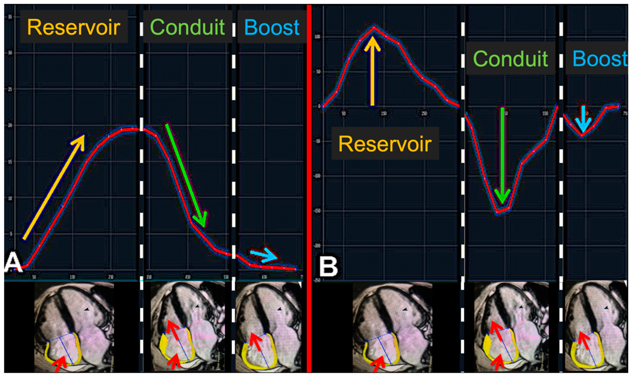 Jcm 12 05179 g001 Jcm 12 05179 g001