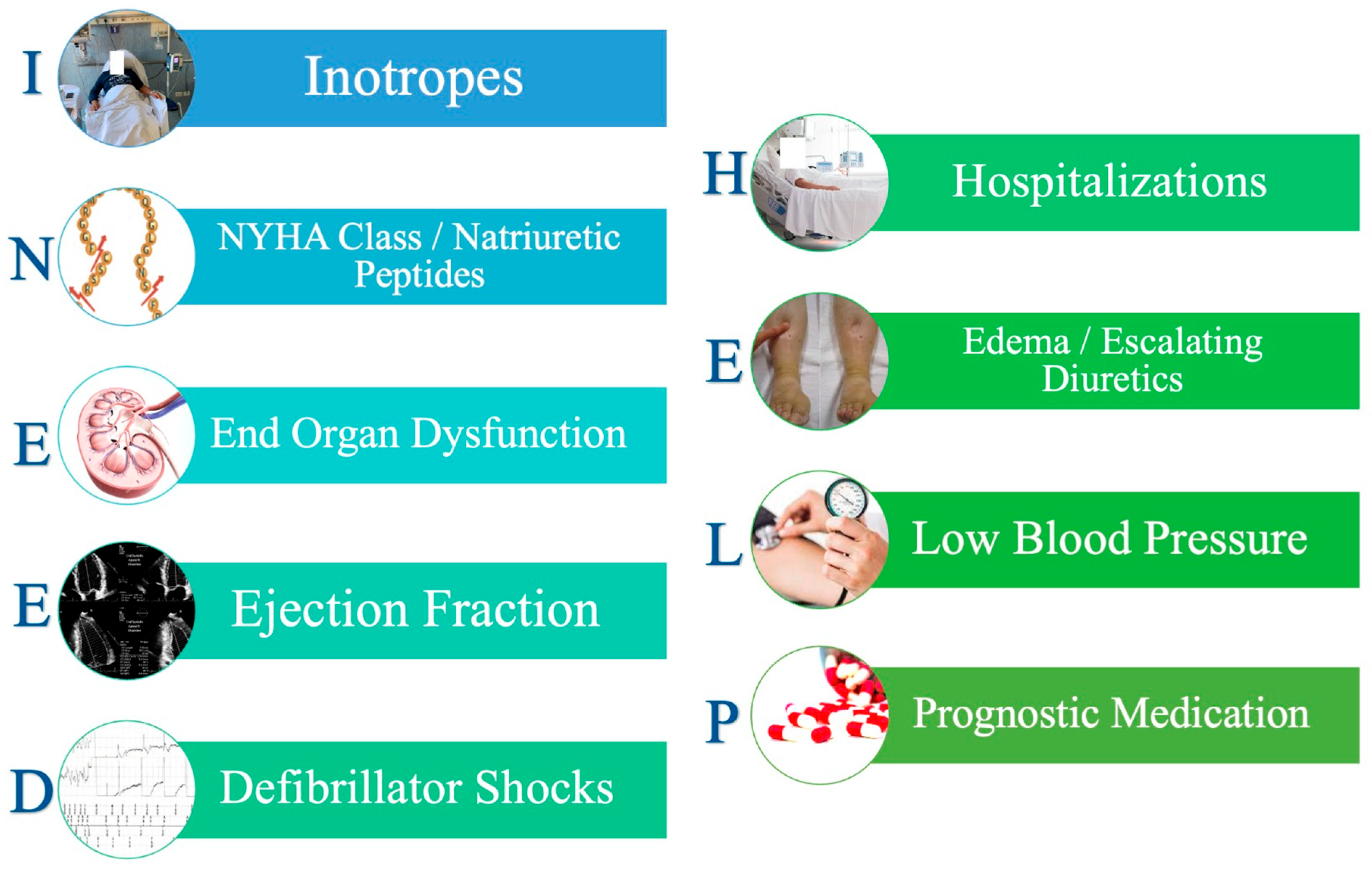Jcm 12 05217 g001 Jcm 12 05217 g001