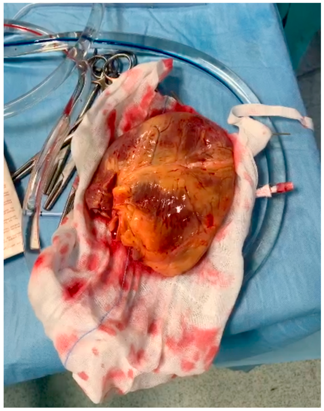 Jcm 12 05217 g002 Jcm 12 05217 g002