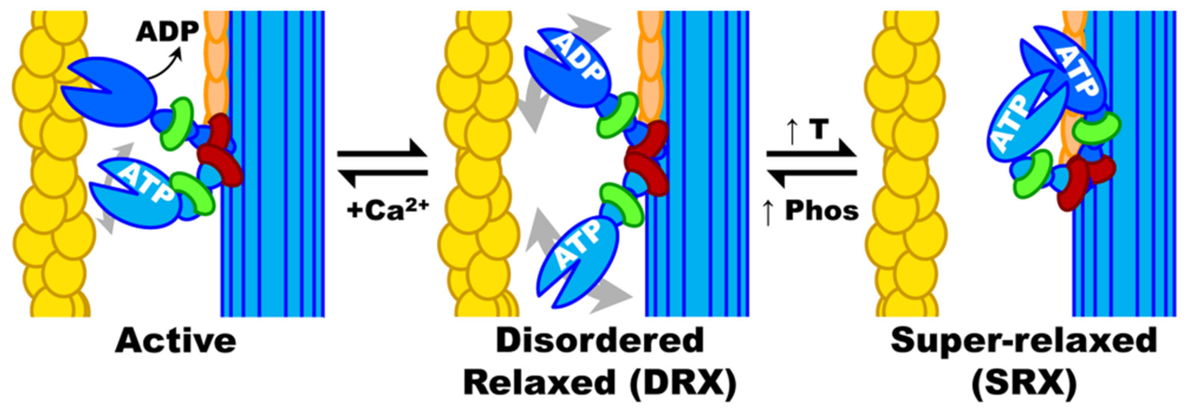 Jcm 12 05710 g003 Jcm 12 05710 g003