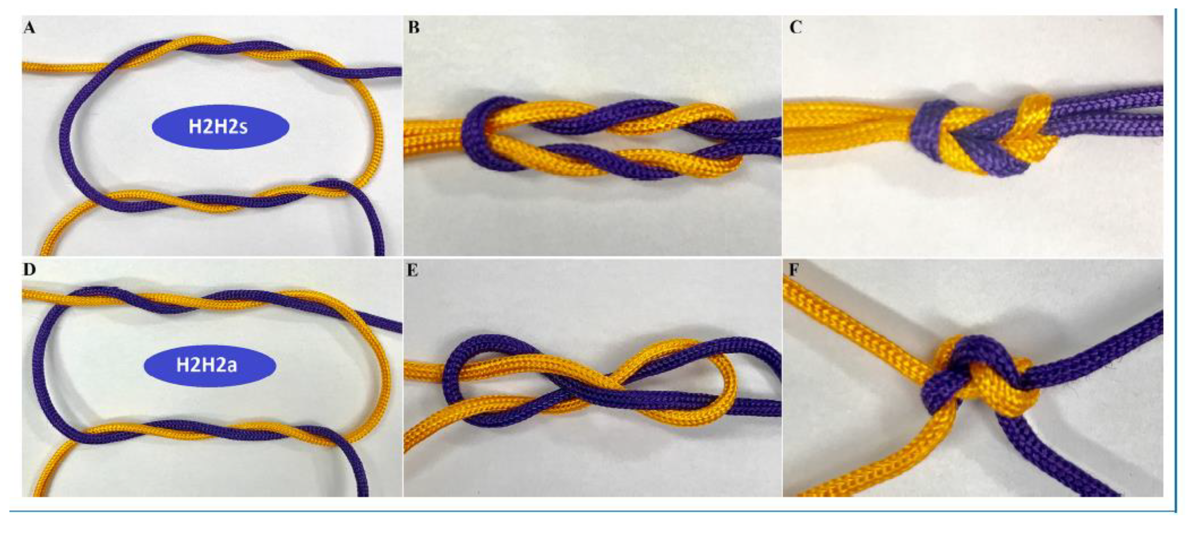 Jcm 12 06166 g004 Jcm 12 06166 g004