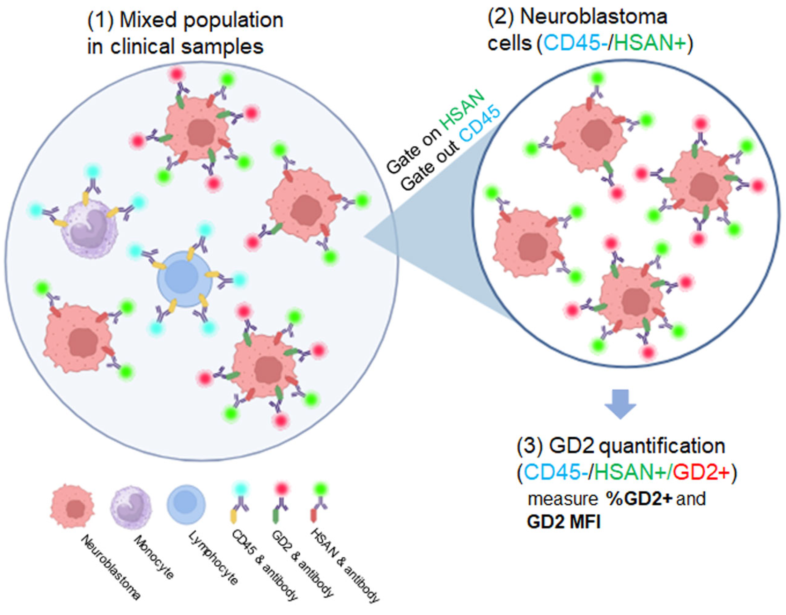 Jcm 12 06223 g002 Jcm 12 06223 g002