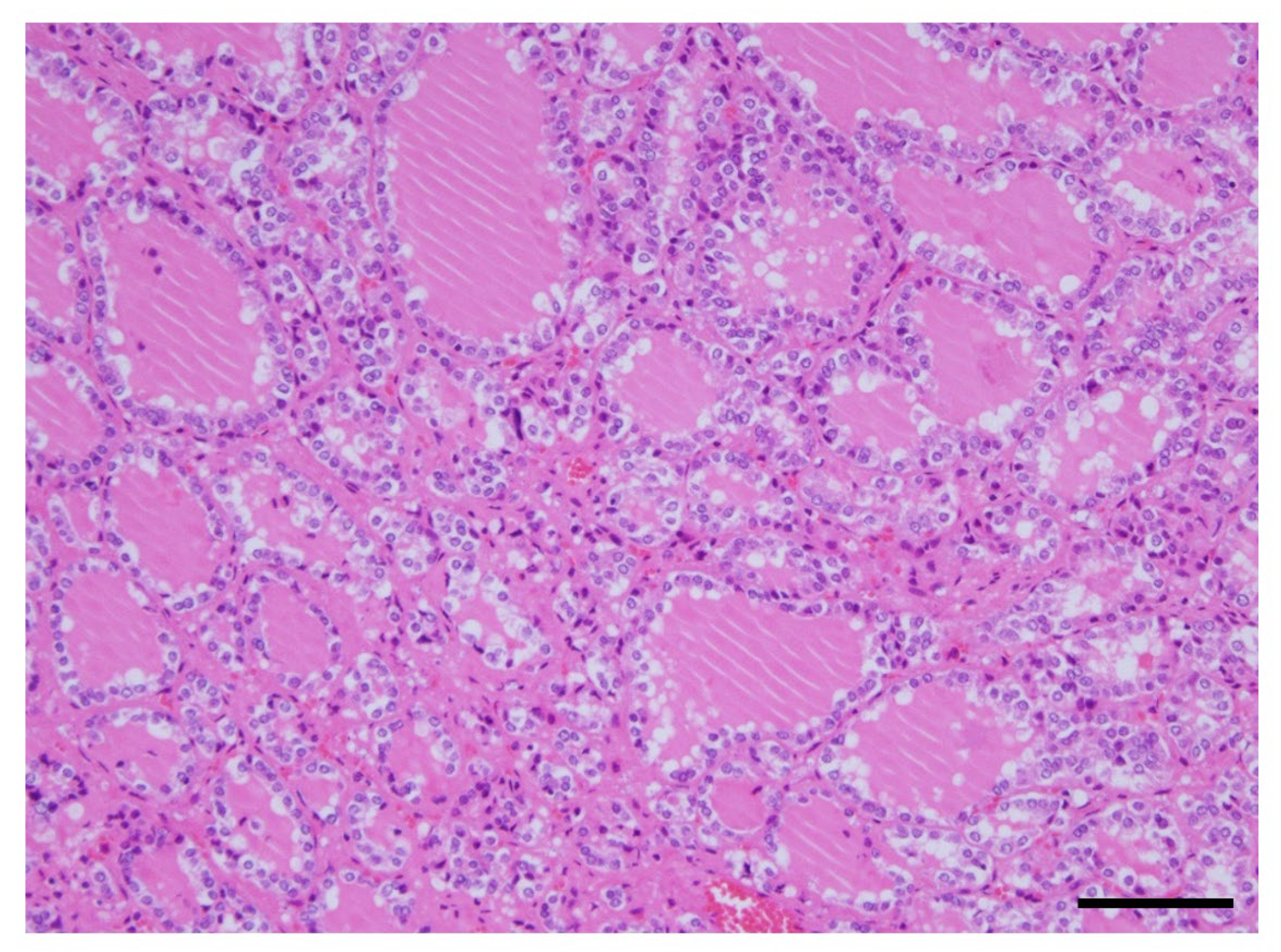 Jcm 12 06359 g005 Jcm 12 06359 g005