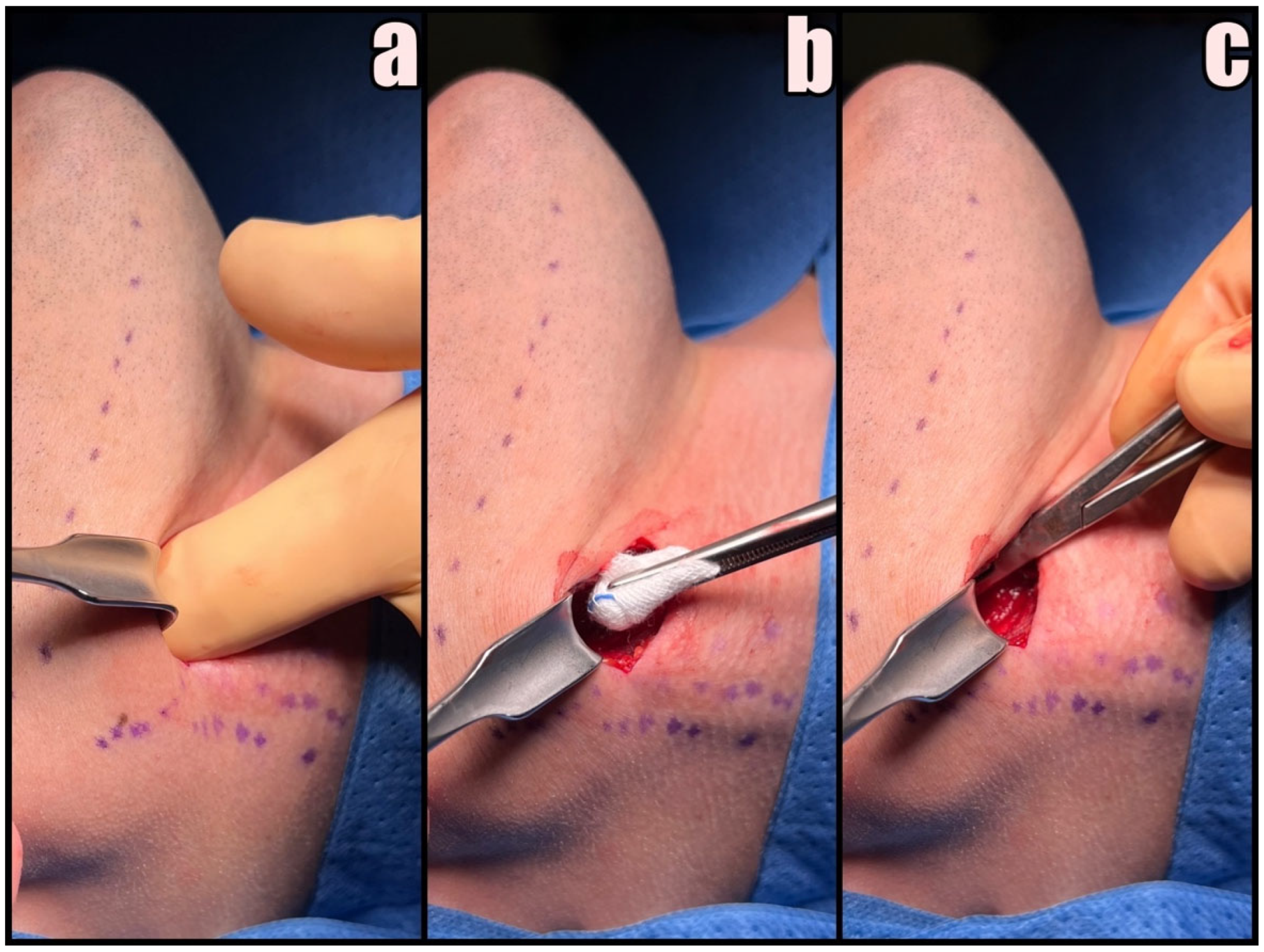 Jcm 12 06763 g005 Jcm 12 06763 g005