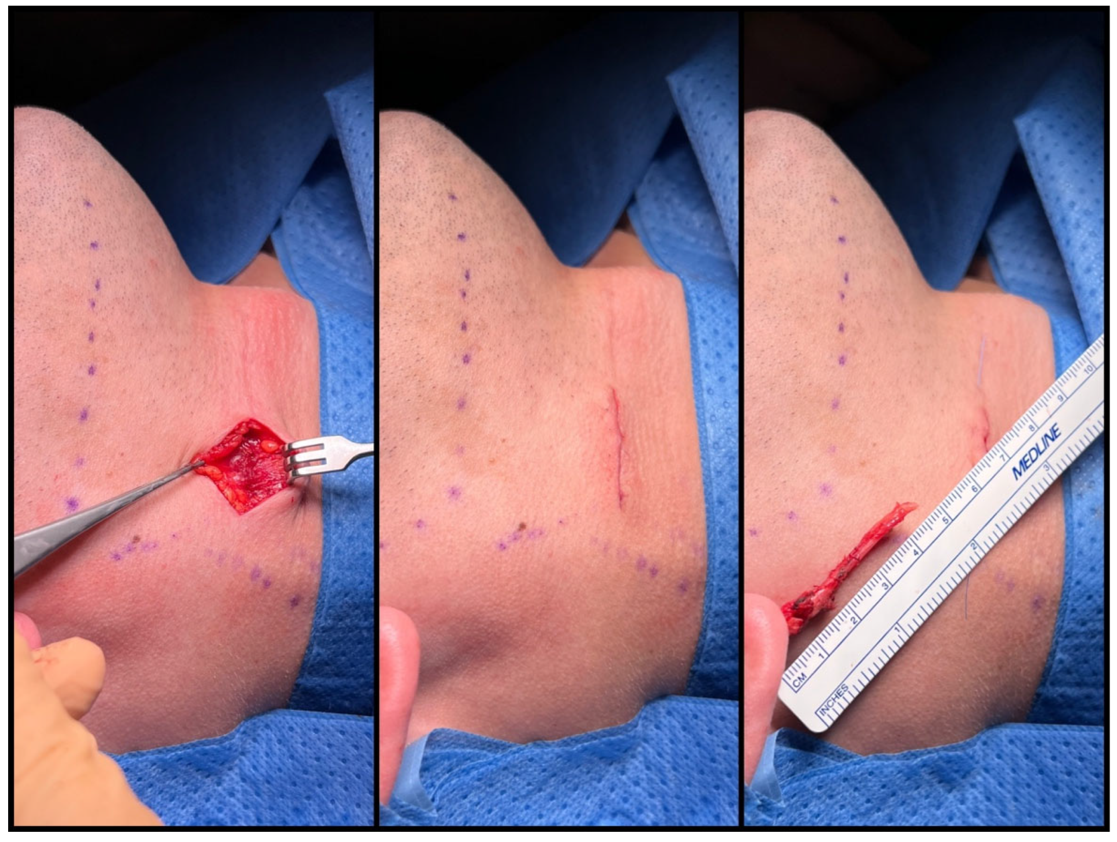 Jcm 12 06763 g008 Jcm 12 06763 g008