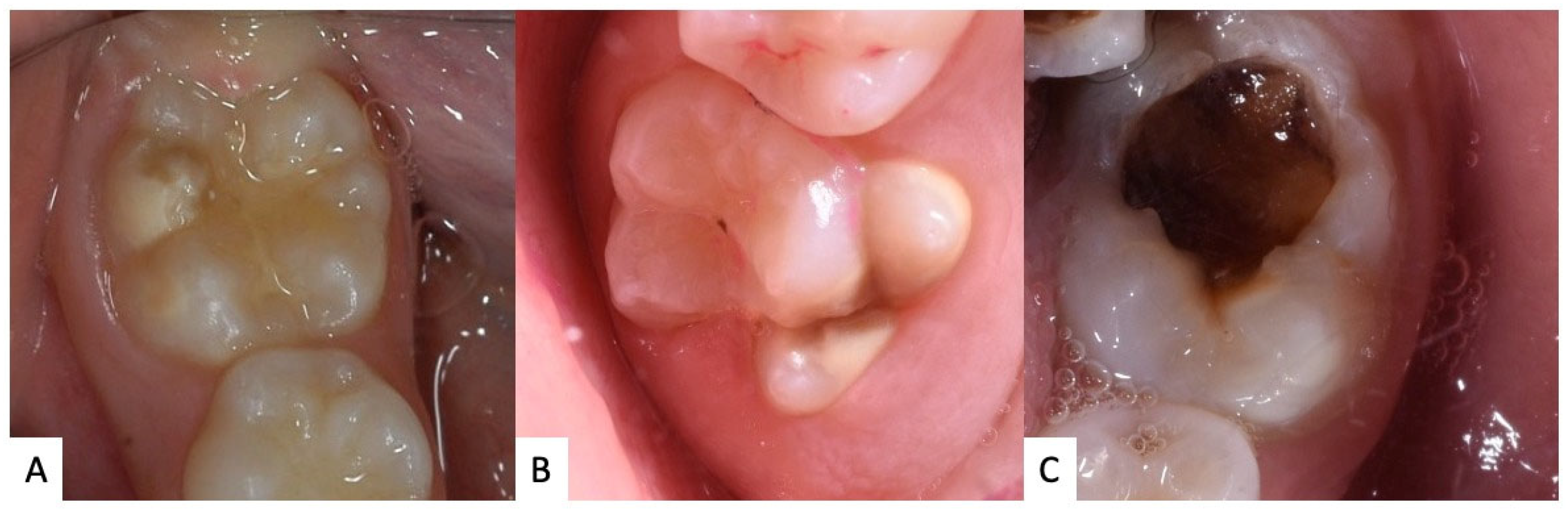 Jcm 12 07194 g001 Jcm 12 07194 g001