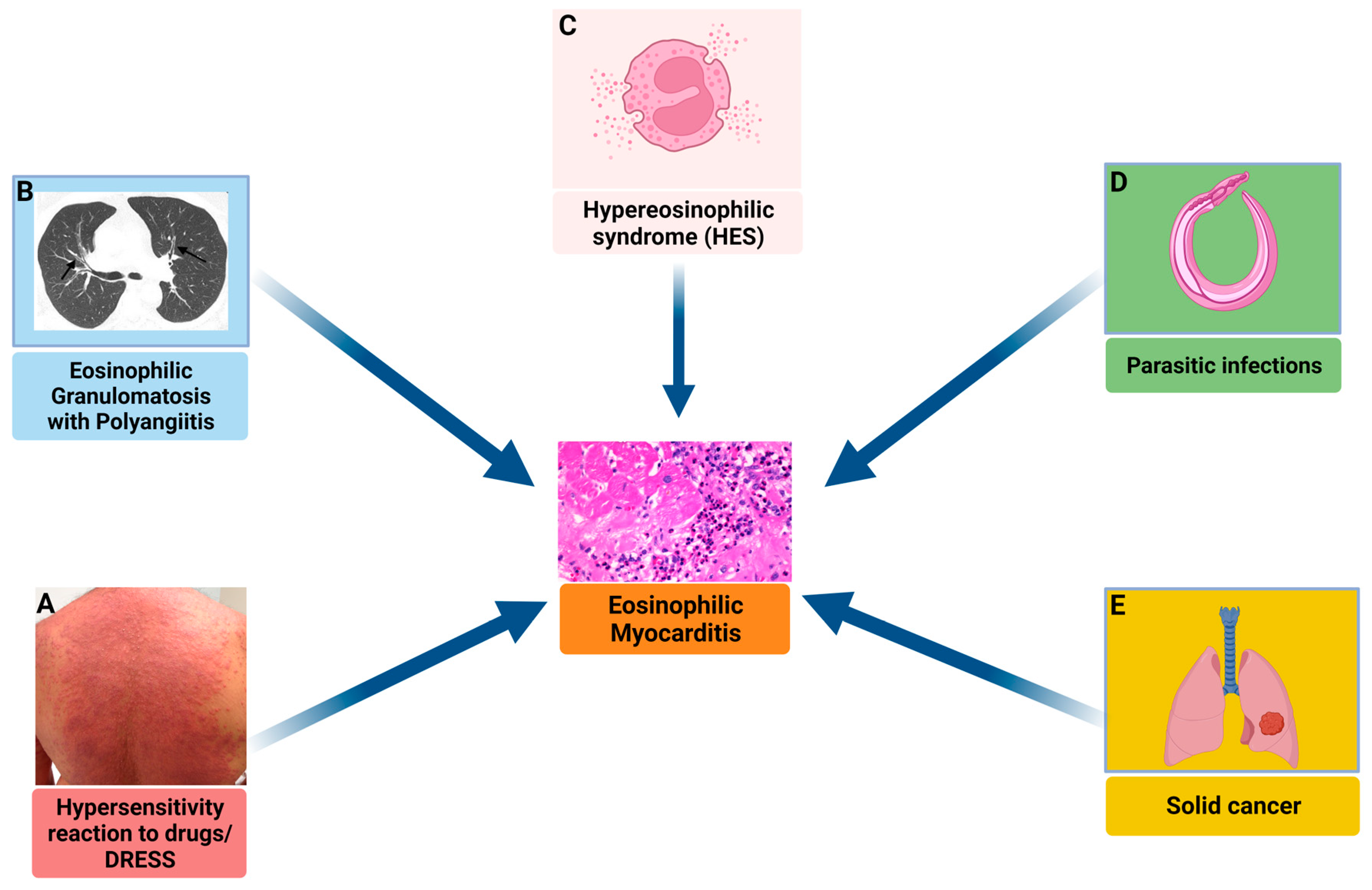 Jcm 12 07214 g005 Jcm 12 07214 g005